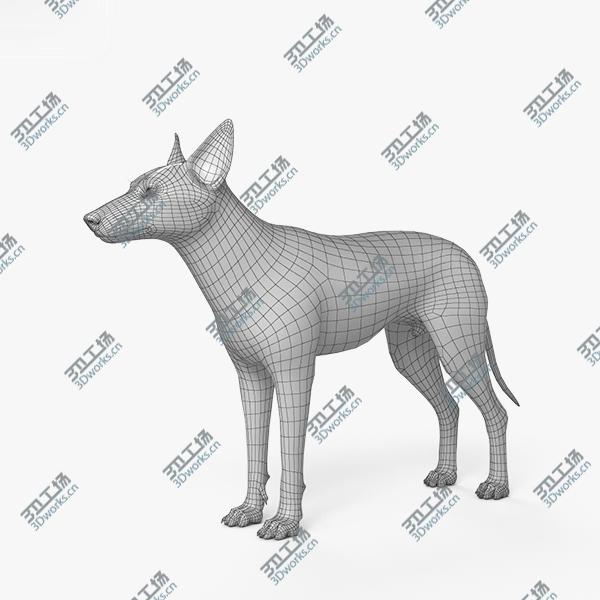 images/goods_img/202105071/3D model Coyote HD/5.jpg